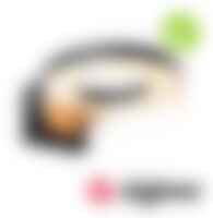 Nástěnná - P 93113 LED venkovní nástěnné svítidlo Smart Home Zigbee 3.0 Capea pohybové čidlo neláká hmyz IP44 231mm CCT 12,5W 230V antracit hliník - PAULMANN