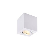 Downlight - LA 1002015 TRILEDO Single, stropní nástavbové svítidlo, QPAR51, bílá, max. 10W - BIG WHITE (SLV)