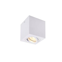 Downlight - LA 1002015 TRILEDO Single, stropní nástavbové svítidlo, QPAR51, bílá, max. 10W - BIG WHITE (SLV)