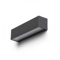 Nástěnná - RED R13641 CAMARGUE nástěnná antracitová satinované sklo 230V LED 6W IP65 3000K - RED - DESIGN RENDL
