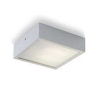 Technická - RED R10260 Stropní svítidlo STRUCTURAL bílé 20x20cm 230V G24-q2 2x18W - RED - DESIGN RENDL