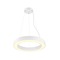 Kruhová - LA 1008592 MEDO® RING 60 závěsné svítidlo, délka závěsu 300 cm, 3000/4000K, 110°, PHASE, bílé. - BIG WHITE (SLV)