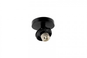 Bodová - IMPR 348271 Deko-Light stropní přisazené svítidlo Can Tilt kulaté základna, 1x 7,5 W GU10, černá