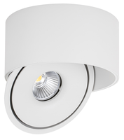 LED svítidla COB - LED COB Downlight 30W ROUND ROTATABLE BÍLÁ - BRIDGELUX