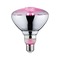 E27 - P 28737 LED Grow Green reflektor lampa pro rostliny 6,5 W E27 na růst rostlin - PAULMANN