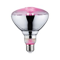 E27 - P 28737 LED Grow Green reflektor lampa pro rostliny 6,5 W E27 na růst rostlin - PAULMANN