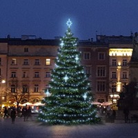 SADY na stromy - DLED TRS3027 LED světelná sada na stromy vysoké 9-11m, ledová bílá s dekory EFD15S2