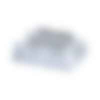 Příslušenství pro LED pásky - P 78461 Pro spojka Single Color max. 144W černá/červená - PAULMANN