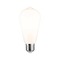 E27 - P 29118 Klasická White LED žárovka ST64 E27 7W 2700K stmívatelné opál - PAULMANN
