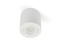 Downlight - BPM 8015.01 Stropní svítidlo KUP kartáč.hliník 1x 50W 230V - BPM