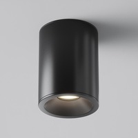 Kruhová - M C029CL-01B Stropní svítidlo Zoom C029CL-01B - MAYTONI