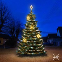 SADY na stromy - DLED TFS2021W LED světelná sada na stromy vysoké 6-8m, teplá bílá s Flash, dekory EFD02W