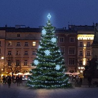 SADY na stromy - DLED TRS3023 LED světelná sada na stromy vysoké 9-11m, ledová bílá s dekory 8EFD08