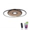 Downlight - PN 8381-78 Q-AMIRA LED stropní svítidlo v dekoru dřeva a oceli s nastavitelnou barvou světla stmívatelné Smart Home ZigBee 2700-5000K - PAUL NEUHAUS