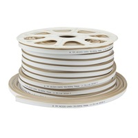 LED flex neon - LED Flex-Neon 220V