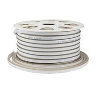 LED flex neon - LED Flex-Neon 220V