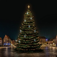 SADY na stromy - DLED TRS7031W LED světelná sada na stromy vysoké 21-23m, teplá bílá s padajícím sněhem