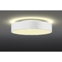 Kruhová - LA 1007295 MEDO® PRO 40 nástěnné a stropní nástavbové svítidlo, kulaté, 3000/4000K, 19W, DALI, Touch, 110°, bílá - BIG WHITE (SLV) - foto 10