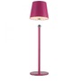 Stolní lampy dekorační - LD 19251-87 Nabíjecí svítidlo na láhev, s přídavnou nohou, růžová, 3000K - JUST LIGHT - foto 10