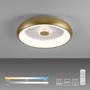 Kruhová - LD 14384-60 VERTIGO LED stropní svítidlo matná mosaz 50x50 kruhové křišťálový efekt stmívatelné CCT 2700-5000K - LEUCHTEN DIREKT / JUST LIGHT - foto 10