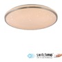 Kruhová - LD 14295-55 LED stropní svítidlo KYLE, ocel, kruhové, stmívatelné, hvězdné nebe, 49 cm, krokově stmívatelné, 3000K - JUST LIGHT - foto 10