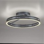 Kruhová - PN 6552-15 LED stropní svítidlo PURE Loop dálkový ovladač 2700-5000K šedá mystic - PAUL NEUHAUS - foto 10