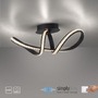 Dekorativní - PN 8475-18 BRILLA LED stropní svítidlo černá, zakřivené, stmívatelné, křišťálové sklo SimplyDim 3000K - PAUL NEUHAUS - foto 10