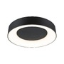 Kruhová - P 75416 LED stropní svítidlo Smart Home Zigbee 3.0 Casca IP44 RGBW+ 230V 20W černá mat - PAULMANN - foto 10