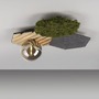 Dekorativní - LD 15199-70X VÝPRODEJ VZORKU - Nástěnné svítidlo GREEN dub přírodní dřevo s akustickým panelem kouřové sklo - JUST LIGHT - foto 10