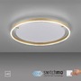 Kruhová - LD 15392-60 RITUS LED stropní svítidlo, matná mosaz, kruhové pr.60cm, stmívatelné, Switchmo, teplá bílá krokově stmívatelné 3000K - LEUCHTEN DIREKT / JUST LIGHT - foto 10