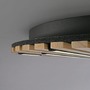 Kruhová - PN 6421-79 LED nástěnné a stropní svítidlo Q-AKUSTIK dřevo, přírodní Smarthome ZigBee 2700-5000K - PAUL NEUHAUS - foto 10