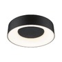 Kruhová - P 71096 LED stropní svítidlo Casca IP44 CCT 230V 16W černá mat - PAULMANN - foto 10