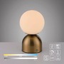 Stolní lampy dekorační - LD 19218-12 Kolekce Schöner Wohnen LED bateriové stolní svítidlo RUDI, zlatá, nabíjecí přes USB, 3000-6000K - JUST LIGHT - foto 10