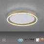 Kruhová - LD 15391-60 RITUS LED stropní svítidlo, matná mosaz, kruhové, pr.40cm, stmívatelné, Switchmo, teplá bílá krokově stmívatelné 3000K - LEUCHTEN DIREKT / JUST LIGHT - foto 10