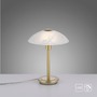 Stolní lampy dekorační - PN 4026-60 ENOVA LED stolní lampa matná mosaz alabastrový dekor sklo 3 krokové dotykový stmívač 3000K - PAUL NEUHAUS - foto 10