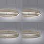 Kruhová - PN 2550-97 PURE E-Loop, LED závěsné svítidlo bronz 2200-5000K - PAUL NEUHAUS - foto 11