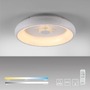 Kruhová - LD 14384-16 VERTIGO LED stropní svítidlo bílé šedá 50x50 kruhové křišťálový efekt stmívatelné CCT 2700-5000K - LEUCHTEN DIREKT / JUST LIGHT - foto 11