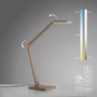 Stolní lampy pracovní - PN 4304-97 LED stolní lampa SAMSKY, bronzová, stmívatelné, dotykové ovládání, nastavitelná výška, paměťová funkce, 2700-5000K - PAUL NEUHAUS - foto 11