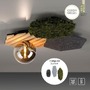 Dekorativní - LD 15199-70X VÝPRODEJ VZORKU - Nástěnné svítidlo GREEN dub přírodní dřevo s akustickým panelem kouřové sklo - JUST LIGHT - foto 11
