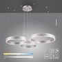 Kruhová - PN 2507-55 SCULLI LED závěsné svítidlo stříbrná kruhové senzor stmívatelné CCT 2700-5000K - PAUL NEUHAUS - foto 11