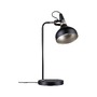 Stolní lampy pracovní - P 78479 Stolní lampa Juna E14 max. 20W černá mat, šampaň kov - PAULMANN - foto 11