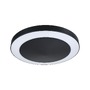 Přisazená - P 94525 LED stropní svítidlo Smart Home Zigbee Circula soumrakový senzor IP44 320mm CCT 14W antracit - PAULMANN - foto 12