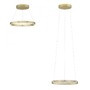 Kruhová - PN 2551-60 Paul Neuhaus LED závěsné svítidlo PURE-E-LOOP elektricky nastavitelná výška 2700-5000K zlatá slonová kost - PAUL NEUHAUS - foto 12