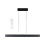 Subtilní - P 78474 LED závěsné svítidlo Raiko RGBW+ stmívatelné / 19W / 6W černá - PAULMANN - foto 14