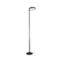 Stojací lampy - P 78019 LED stojací svítidlo Caneta měnitelná bílá 1750mm 20W černá - PAULMANN - foto 16