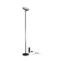 Stojací lampy - P 78019 LED stojací svítidlo Caneta měnitelná bílá 1750mm 20W černá - PAULMANN - foto 18