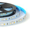 Barevné LED pásky - RGB, RGBW, RGB+CCT - RGB+CCT pásek 9+4+4W/m, 108LED/m, 12mm, IP20, CRI>80, LSL5N02L, Mi-light