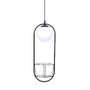 Dekorativní - ZUMA 002177-026163 5003 PLANT 1 závěsné svítidlo - ZUMALINE - foto 2