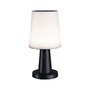 Na stůl - P 94611 Solární LED stolní lampa Ilanga IP44 2700K antracit - PAULMANN - foto 2