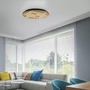 Kruhová - PN 6421-79 LED nástěnné a stropní svítidlo Q-AKUSTIK dřevo, přírodní Smarthome ZigBee 2700-5000K - PAUL NEUHAUS - foto 2